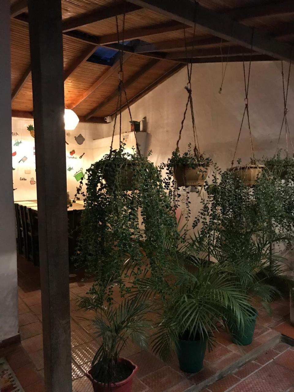 The Best Adventure Hostel San Gil Εξωτερικό φωτογραφία